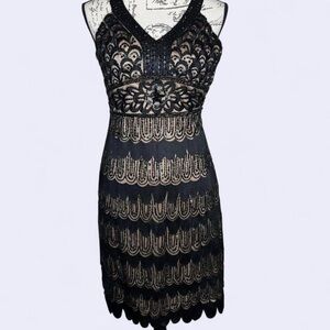 Elegant Black Lace‎ sue Wong Dress